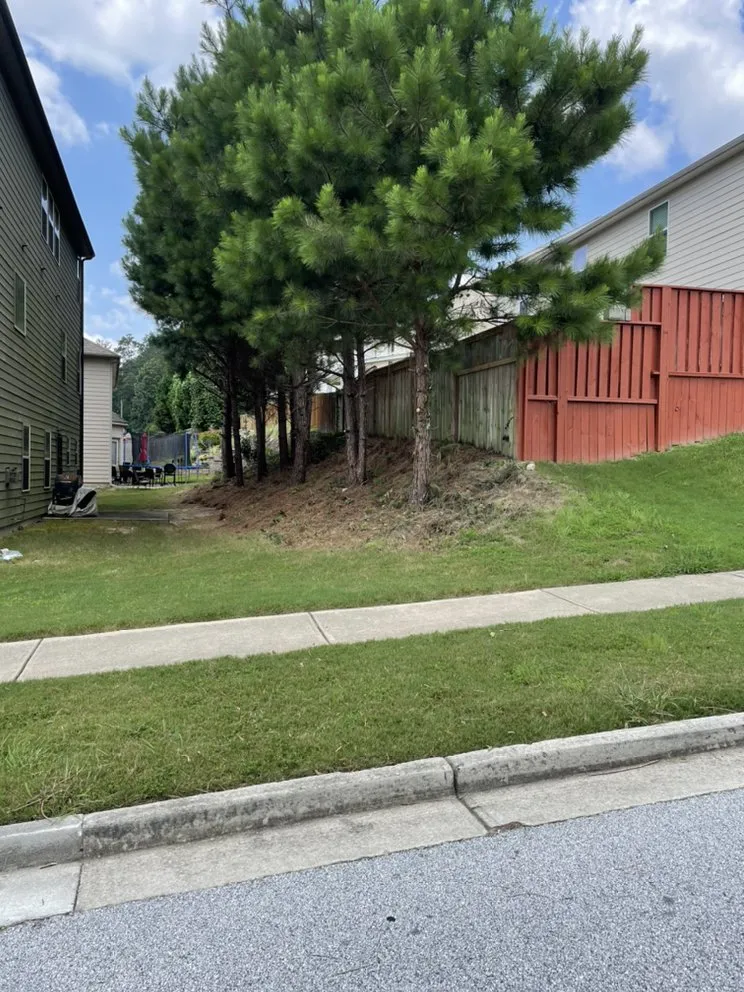 Top-rated lawn care service in McDonough, GA - TK Outdoor Services