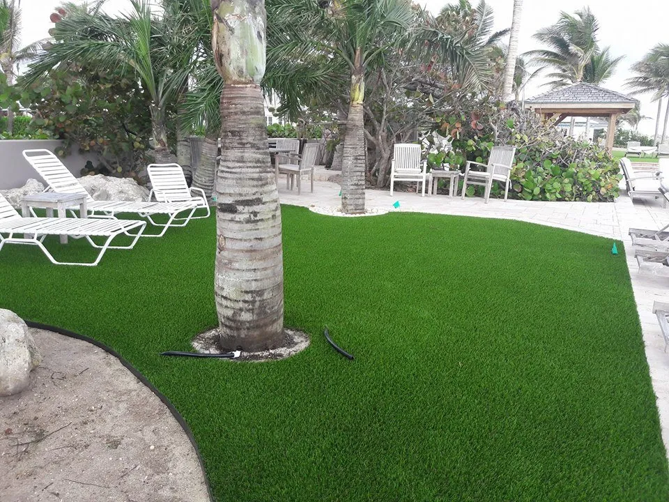 Trusted lawn mowing service in Fort Lauderdale, FL - TK Turf of Broward