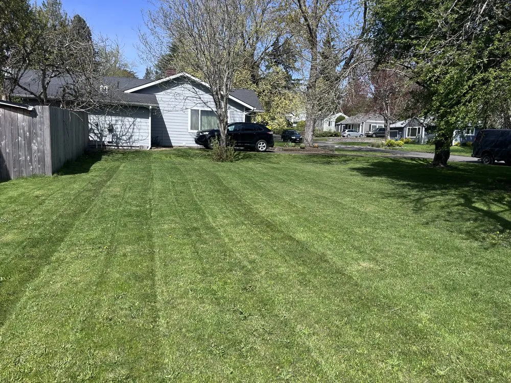 Top-rated landscape design experts serving Beaverton, OR - TK Yards & Lawns