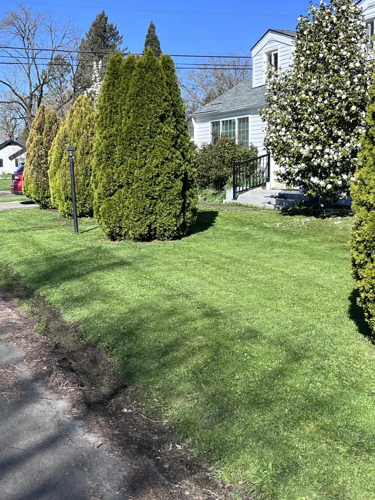 Professional lawn mowing service in Beaverton, OR - TK Yards & Lawns
