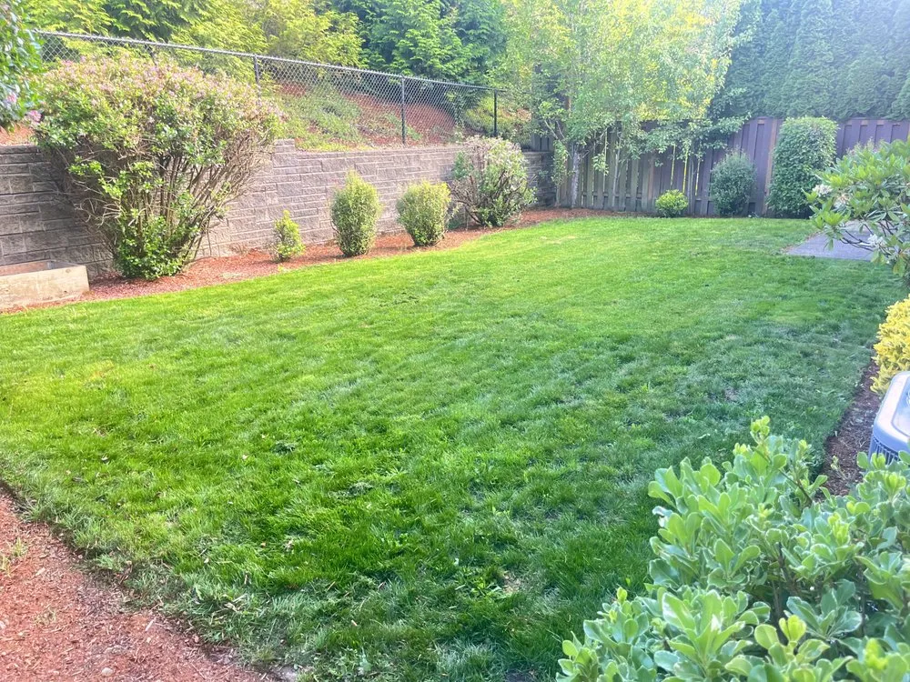 Professional landscaping services for residential properties in Beaverton, OR by TK Yards & Lawns
