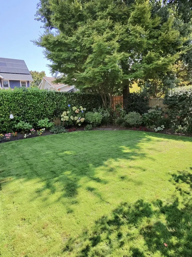 Reliable landscaping services in Beaverton, OR by TK Yards & Lawns
