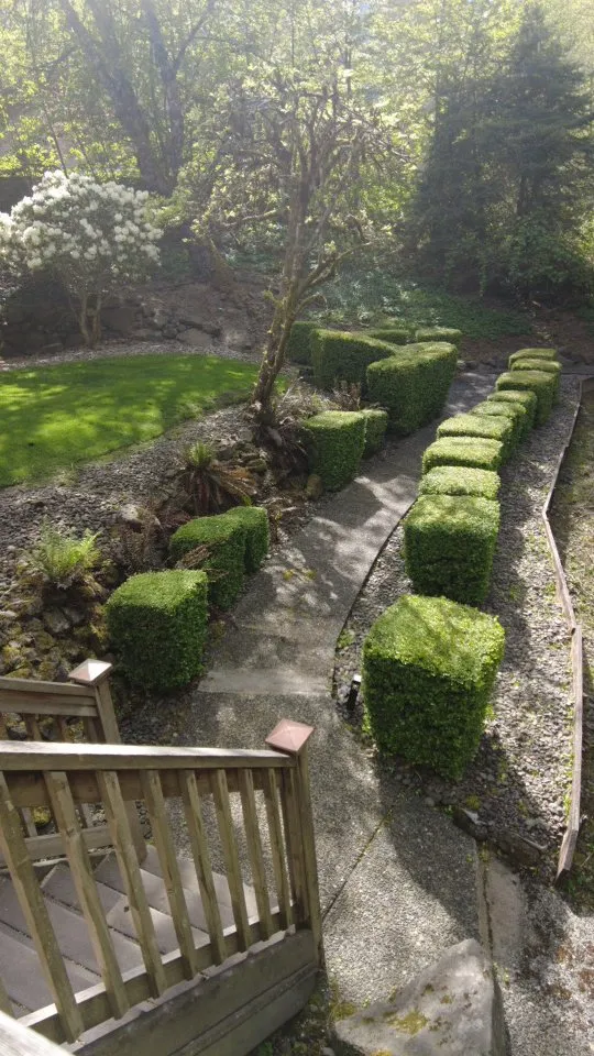 Reliable lawn care service in Beaverton, OR - TK Yards & Lawns