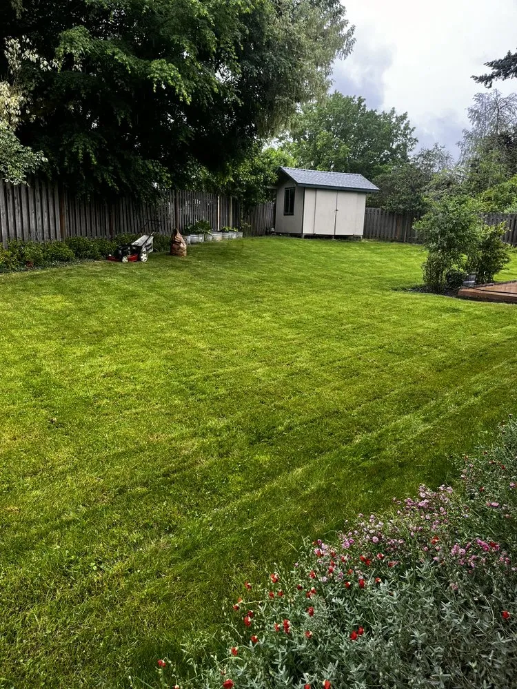 Reliable lawn care service for beautiful yards across Beaverton, OR - TK Yards & Lawns