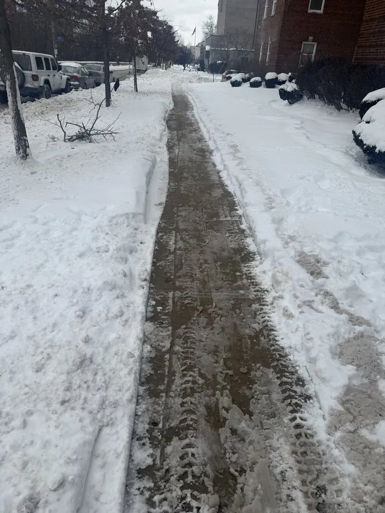 Reliable lawn care service in Cleveland, OH by TKF Royal Services