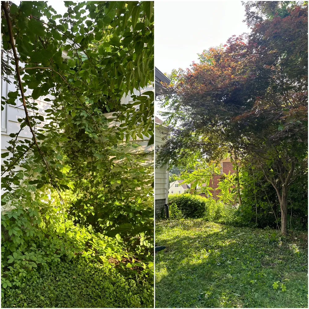 Expert yard maintenance with custom design across Canton, OH - TKLandscapes