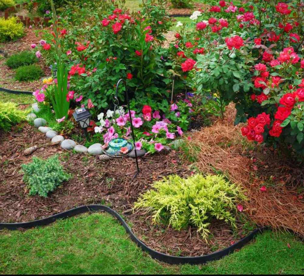 Top-rated lawn care service in Greensboro, NC by TKM Lawn Care & Hauling