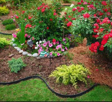 TKM Lawn Care & Hauling Logo