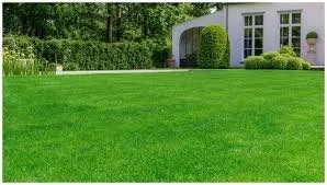 Top-rated lawn mowing service experts serving Akron, OH - TKO'S lawn and dogs