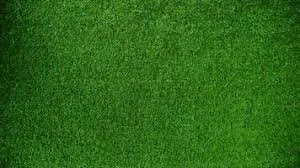 Professional landscape design in Akron, OH - TKO'S lawn and dogs