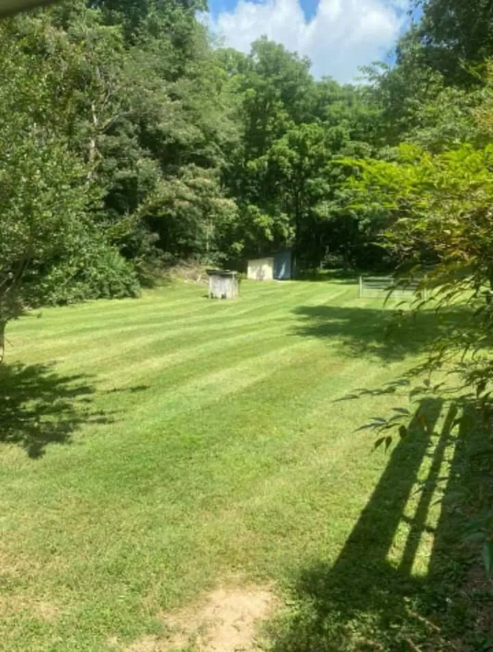 Professional landscaping services in Cornersville, TN - TKRacing