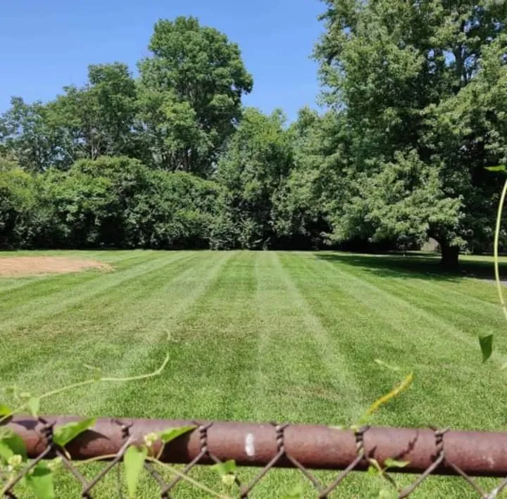 Professional yard maintenance for homes across Cornersville, TN - TKRacing