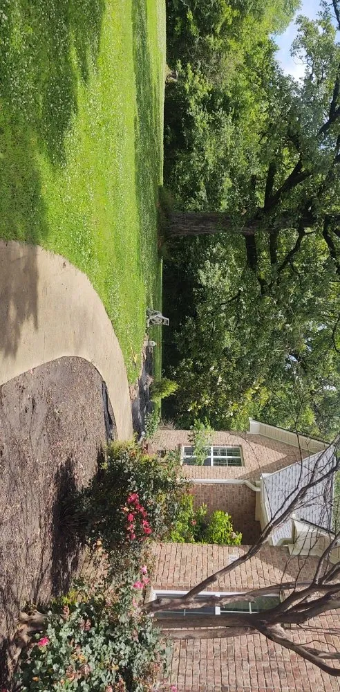 Local landscape design experts serving Gleason, TN - TK's IN&OUT Landscaping & Organization