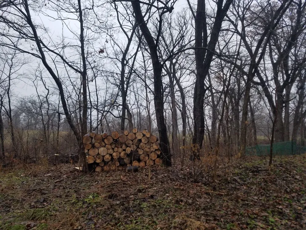 Local landscape installation in Lancaster, NY - TK's Knightly Land Restoration & Wildscaping Services