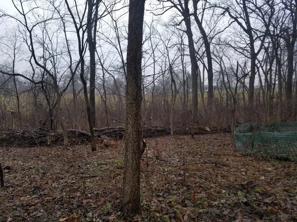 Custom lawn mowing service for beautiful yards across Lancaster, NY - TK's Knightly Land Restoration & Wildscaping Services