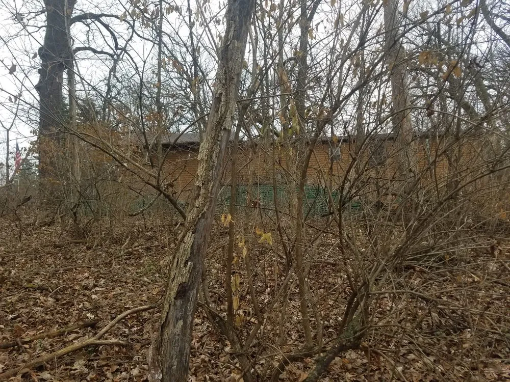 Local lawn mowing service in Lancaster, NY - TK's Knightly Land Restoration & Wildscaping Services