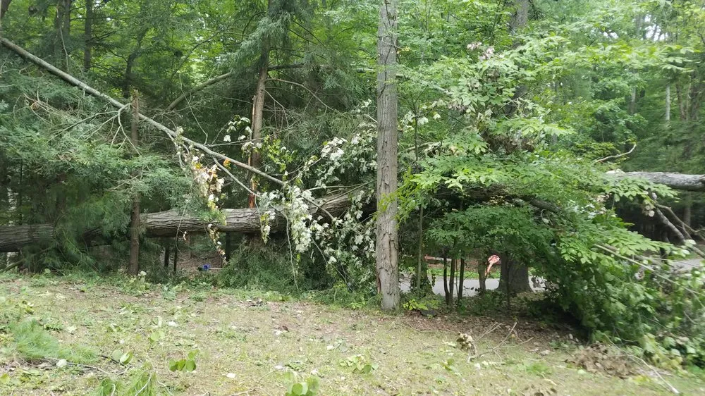 Expert landscape installation in Lancaster, NY by TK's Knightly Land Restoration & Wildscaping Services