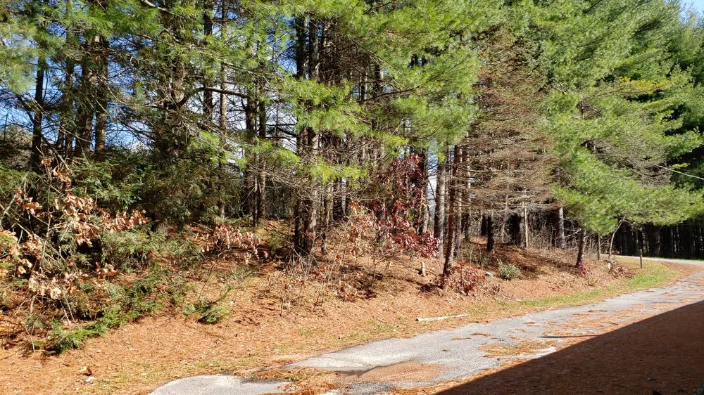 Professional outdoor landscaping for outdoor upgrades in Lancaster, NY by TK's Knightly Land Restoration & Wildscaping Services