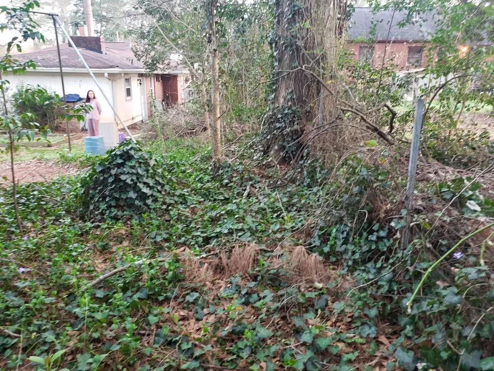 Expert yard maintenance in Lancaster, NY by TK's Knightly Land Restoration & Wildscaping Services