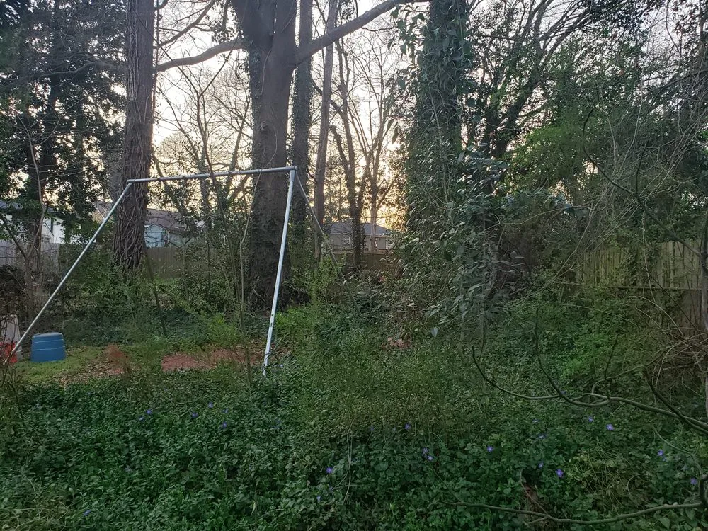 Local lawn care service for year-round maintenance in Lancaster, NY by TK's Knightly Land Restoration & Wildscaping Services