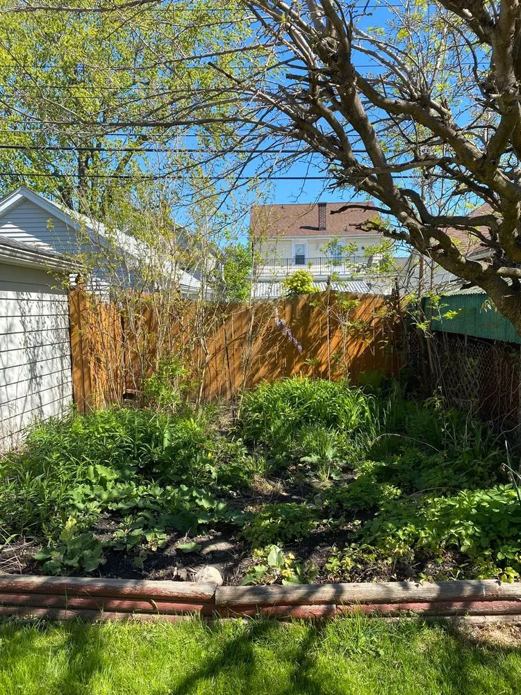 Trusted yard maintenance in Lancaster, NY - TK's Knightly Land Restoration & Wildscaping Services