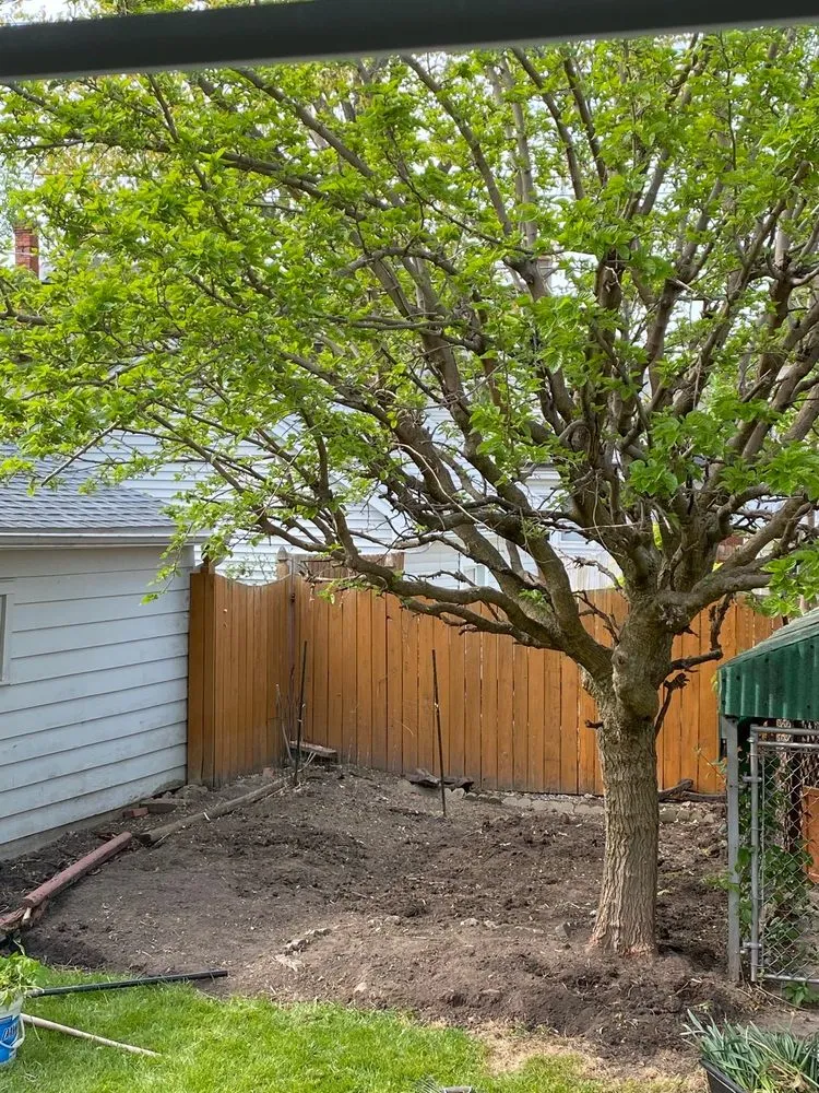 Reliable garden landscaping for beautiful yards across Lancaster, NY - TK's Knightly Land Restoration & Wildscaping Services