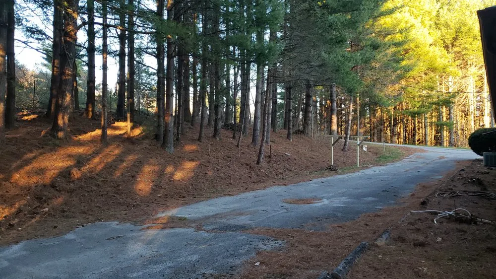 Reliable residential landscaping experts serving Lancaster, NY - TK's Knightly Land Restoration & Wildscaping Services