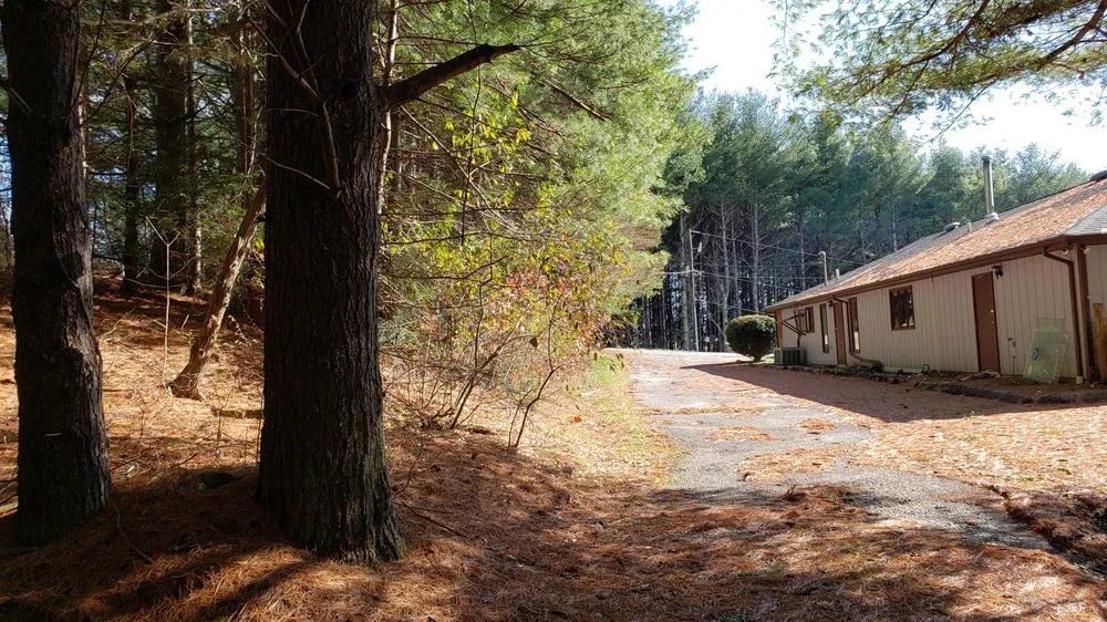 Custom yard maintenance experts serving Lancaster, NY - TK's Knightly Land Restoration & Wildscaping Services