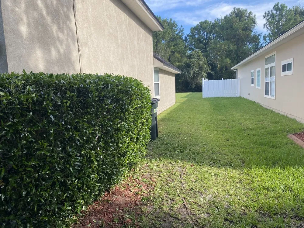 Custom landscaping services in Jacksonville, FL - TK’S Lawn Care & Home Services