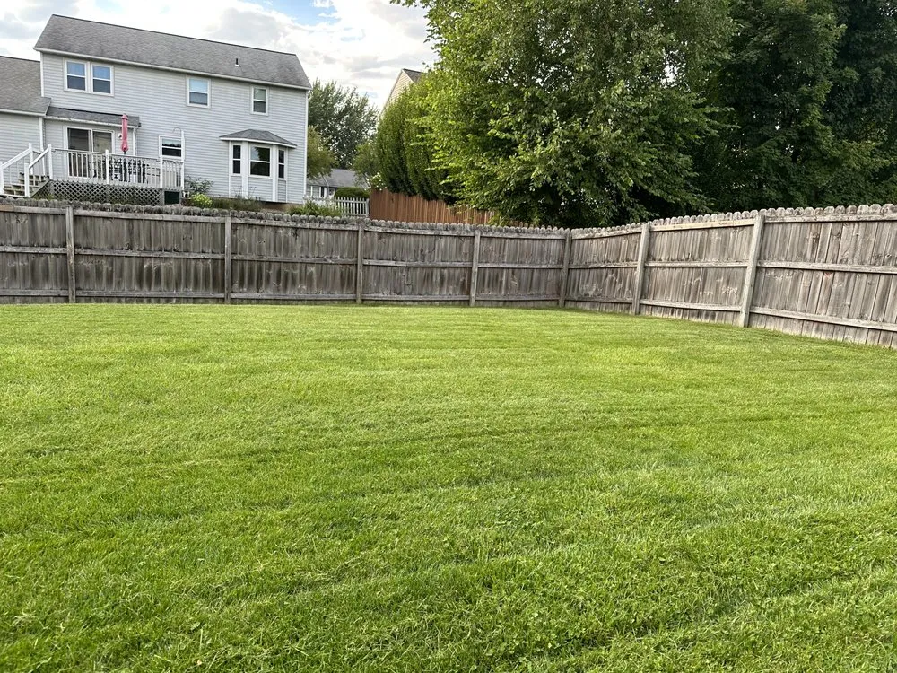 Professional landscape design experts serving Clay, NY - TKV Lawn Care