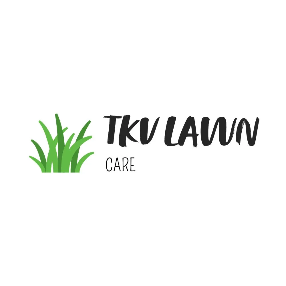 Expert lawn care service experts serving Clay, NY - TKV Lawn Care