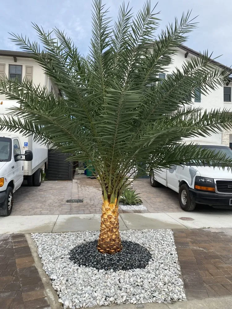 Custom lawn care service experts serving Homestead, FL - T.L. Landscaping