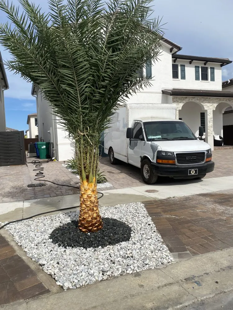 Local yard maintenance experts serving Homestead, FL - T.L. Landscaping