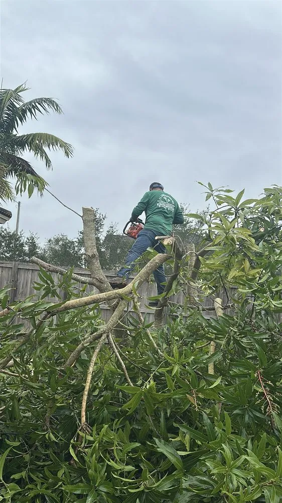 Expert garden landscaping in Homestead, FL by T.L. Landscaping