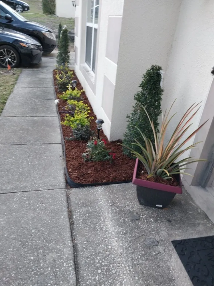 Top-rated yard cleanup service for residential properties in Orlando, FL by T&L Lawn and irrigation services