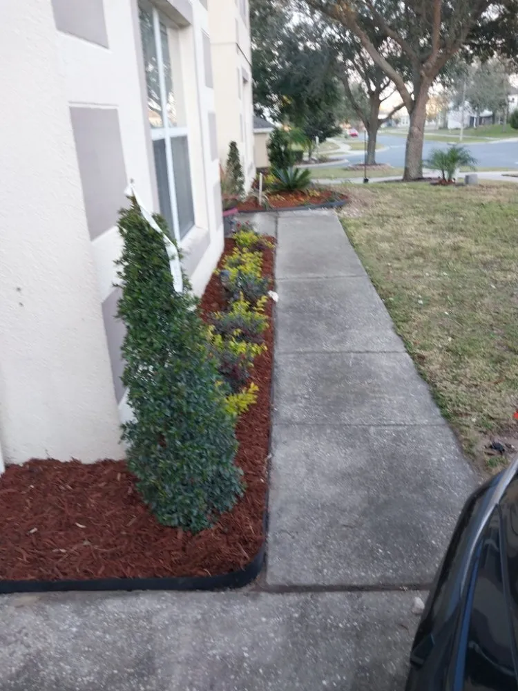 Trusted lawn care service for homes across Orlando, FL - T&L Lawn and irrigation services
