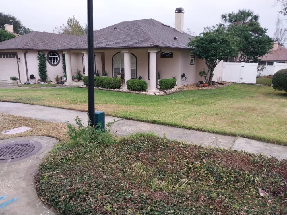 Reliable yard cleanup service experts serving Orlando, FL - T&L Lawn and irrigation services