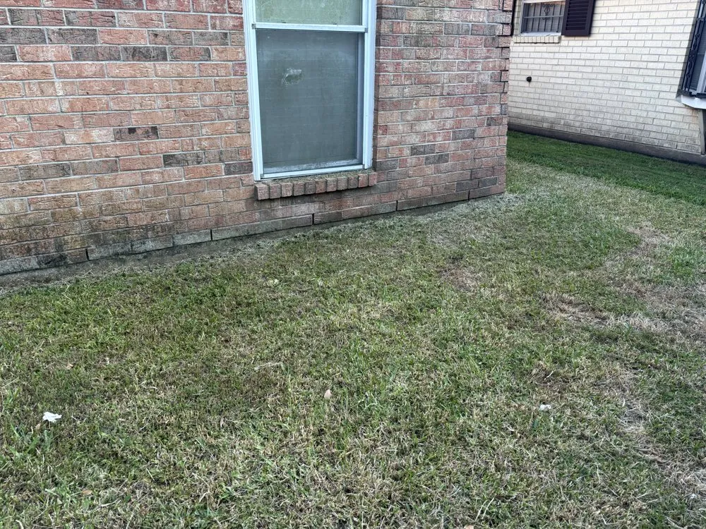 Local yard maintenance experts serving New Orleans, LA - T&L Lawn Care Services