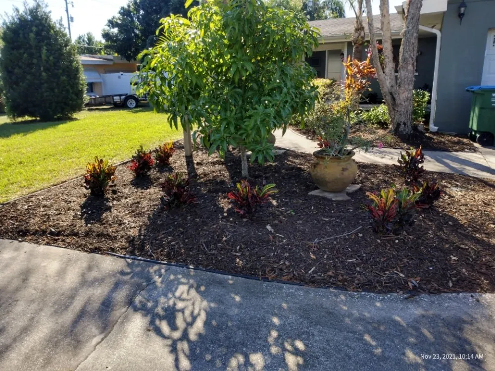 Trusted landscape design with custom design across Clearwater, FL - T.L Lawns
