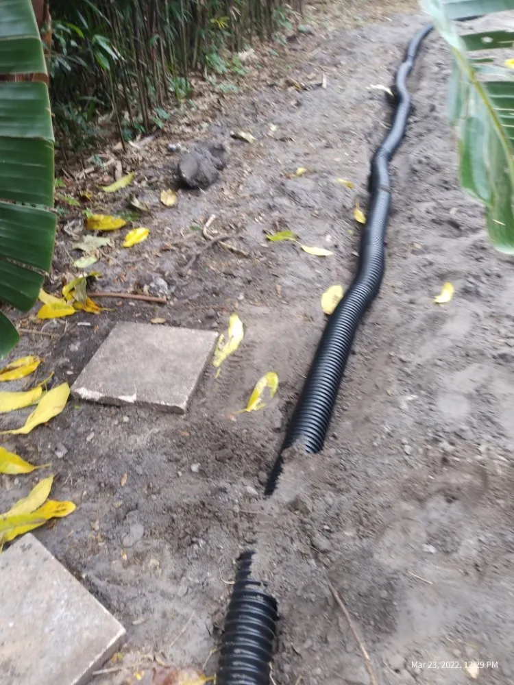 Expert garden landscaping in Clearwater, FL - T.L Lawns