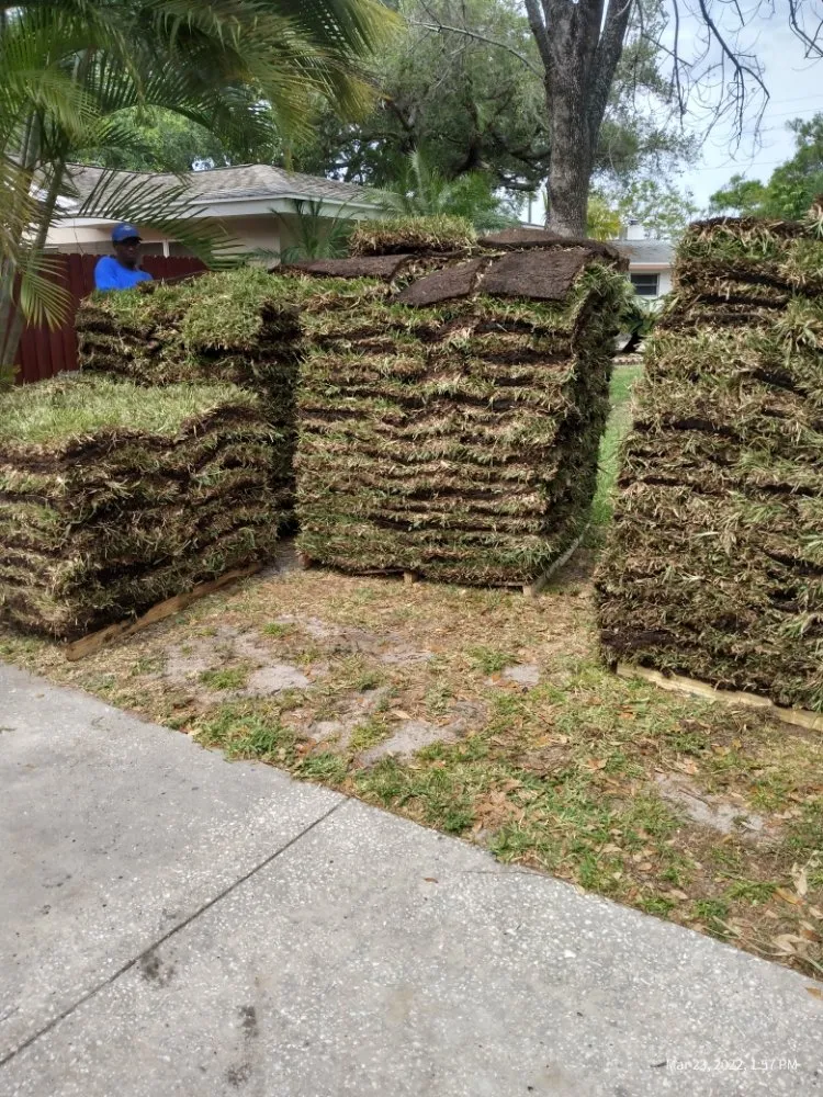 Custom lawn mowing service for year-round maintenance in Clearwater, FL by T.L Lawns