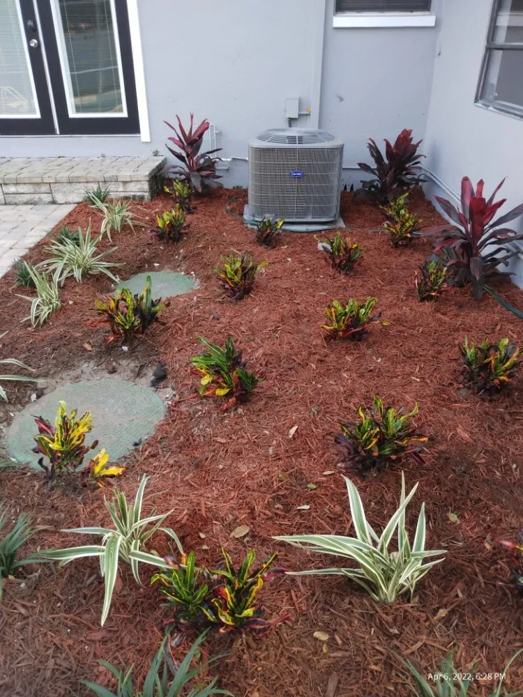 Local outdoor landscaping experts serving Clearwater, FL - T.L Lawns