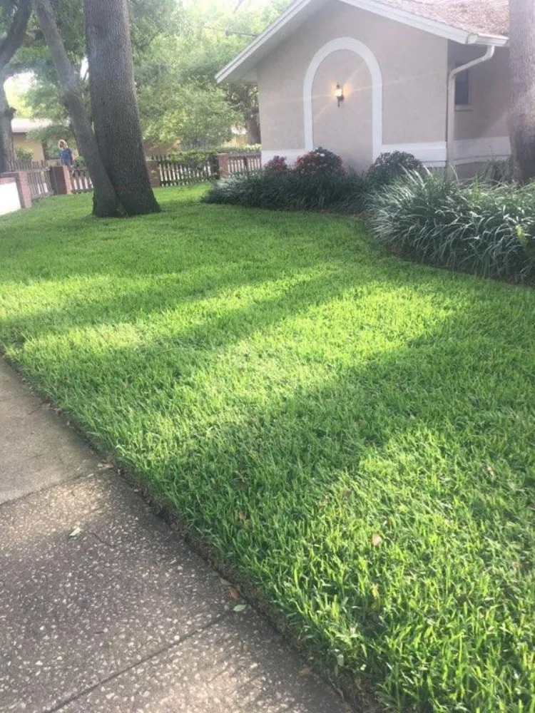 Professional residential landscaping in Clearwater, FL - T.L Lawns
