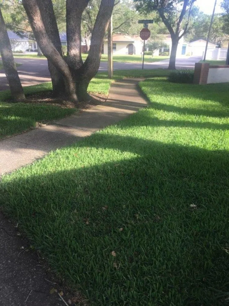 Custom outdoor landscaping for outdoor upgrades across Clearwater, FL - T.L Lawns