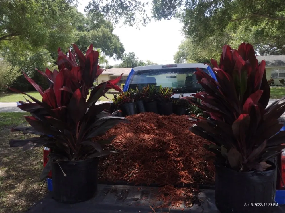 Top-rated outdoor landscaping for outdoor upgrades across Clearwater, FL - T.L Lawns