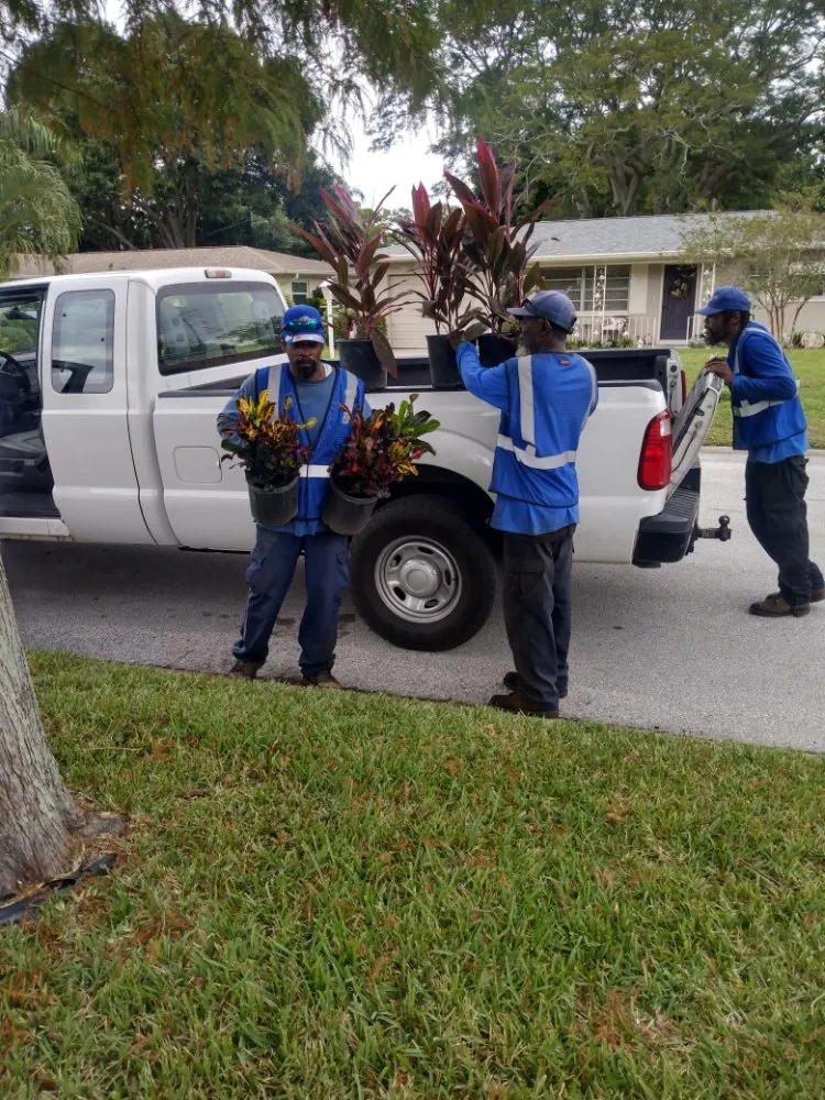 Local residential landscaping experts serving Clearwater, FL - T.L Lawns