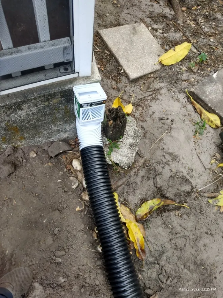 Affordable yard maintenance experts serving Clearwater, FL - T.L Lawns