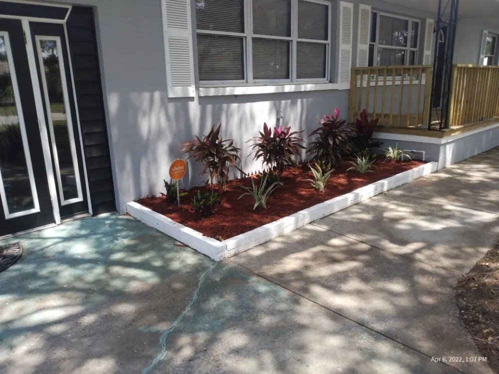 Affordable yard maintenance in Clearwater, FL - T.L Lawns