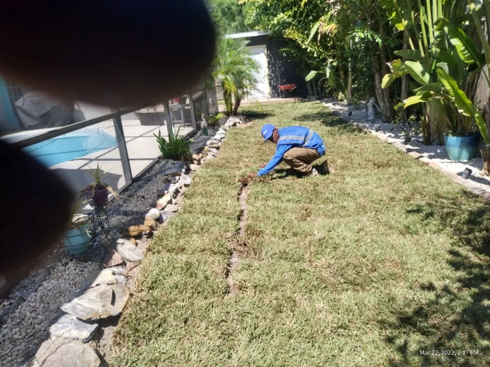 Reliable garden landscaping experts serving Clearwater, FL - T.L Lawns