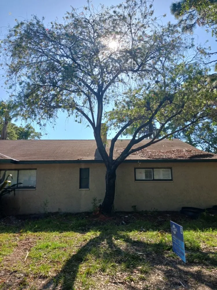 Local landscaping services experts serving Clearwater, FL - T.L Lawns